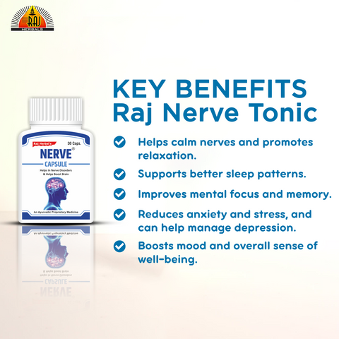 RHPL's Nerve Capsule – Pack of 1 Bottle | Herbal Support for Stress & Memory - Hover