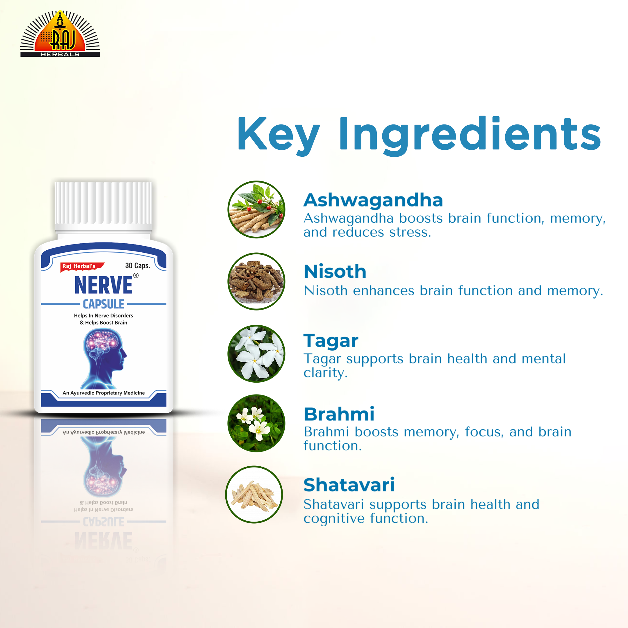 RHPL's Nerve Capsule – Pack of 1 Bottle | Herbal Support for Stress & Memory